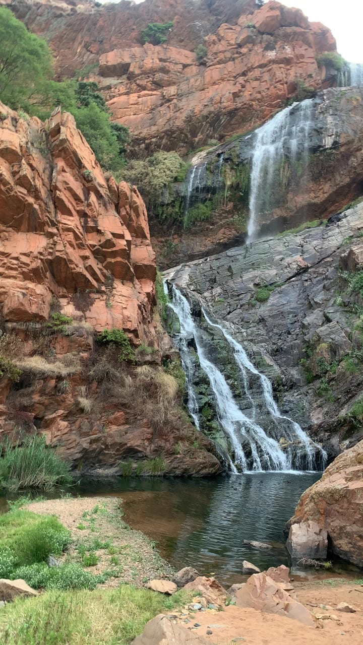 Walter Sisulu botanical gardens