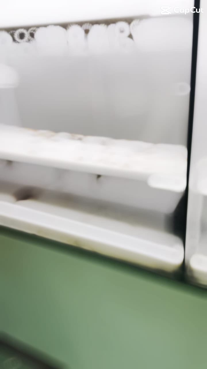 Video review of Audubon Butterfly Garden and Insectarium