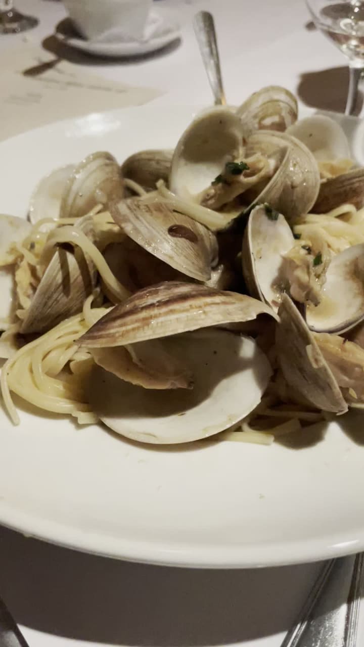 Video review of Ragazzi Italian Restaurant