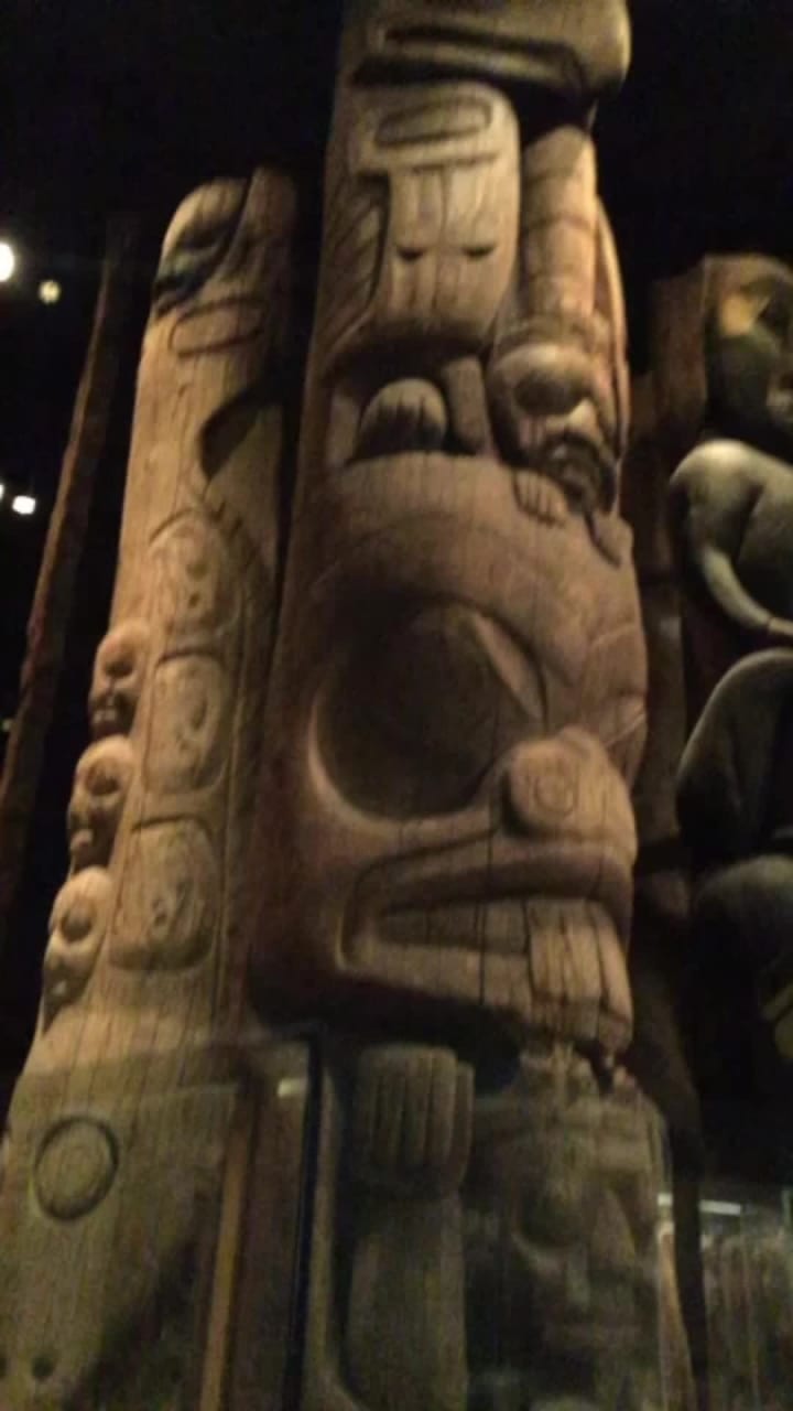 Video review of The Field Museum