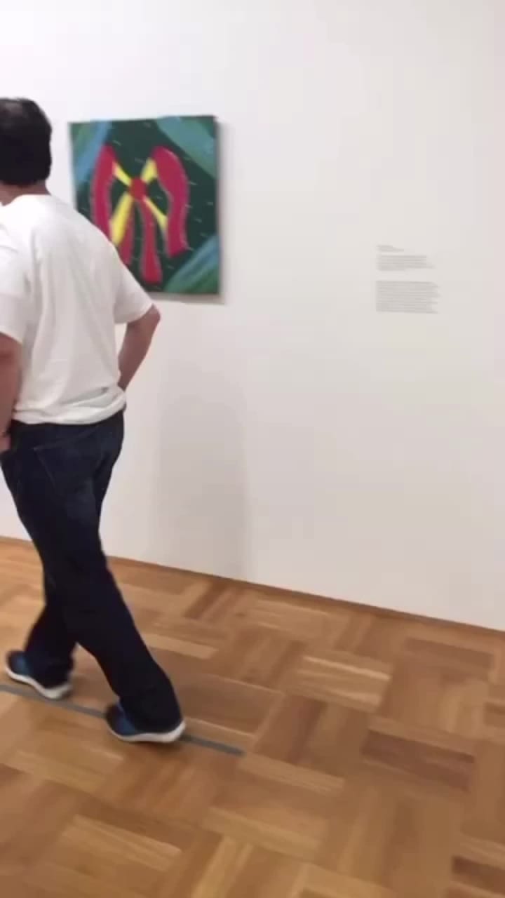 Video review of Museum of Contemporary Art Chicago