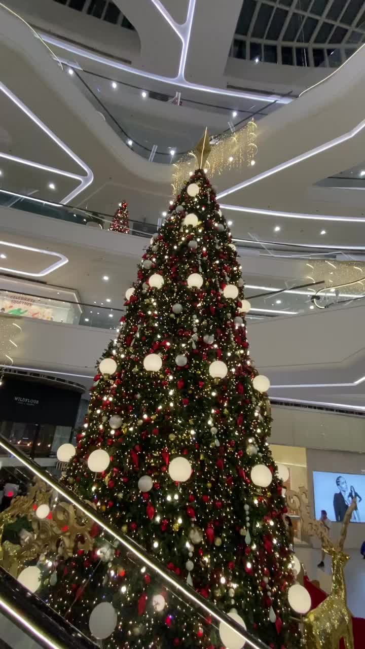 Video review of The Podium