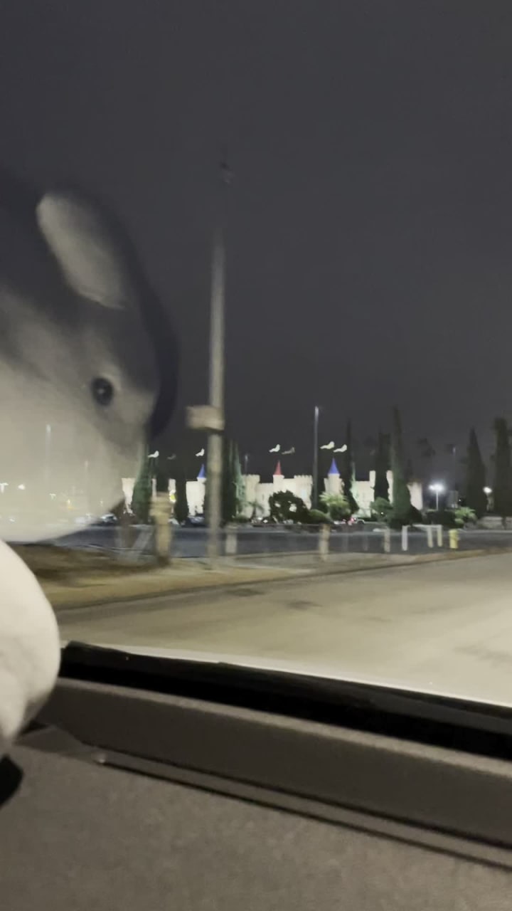 Video review of Camelot Golfland