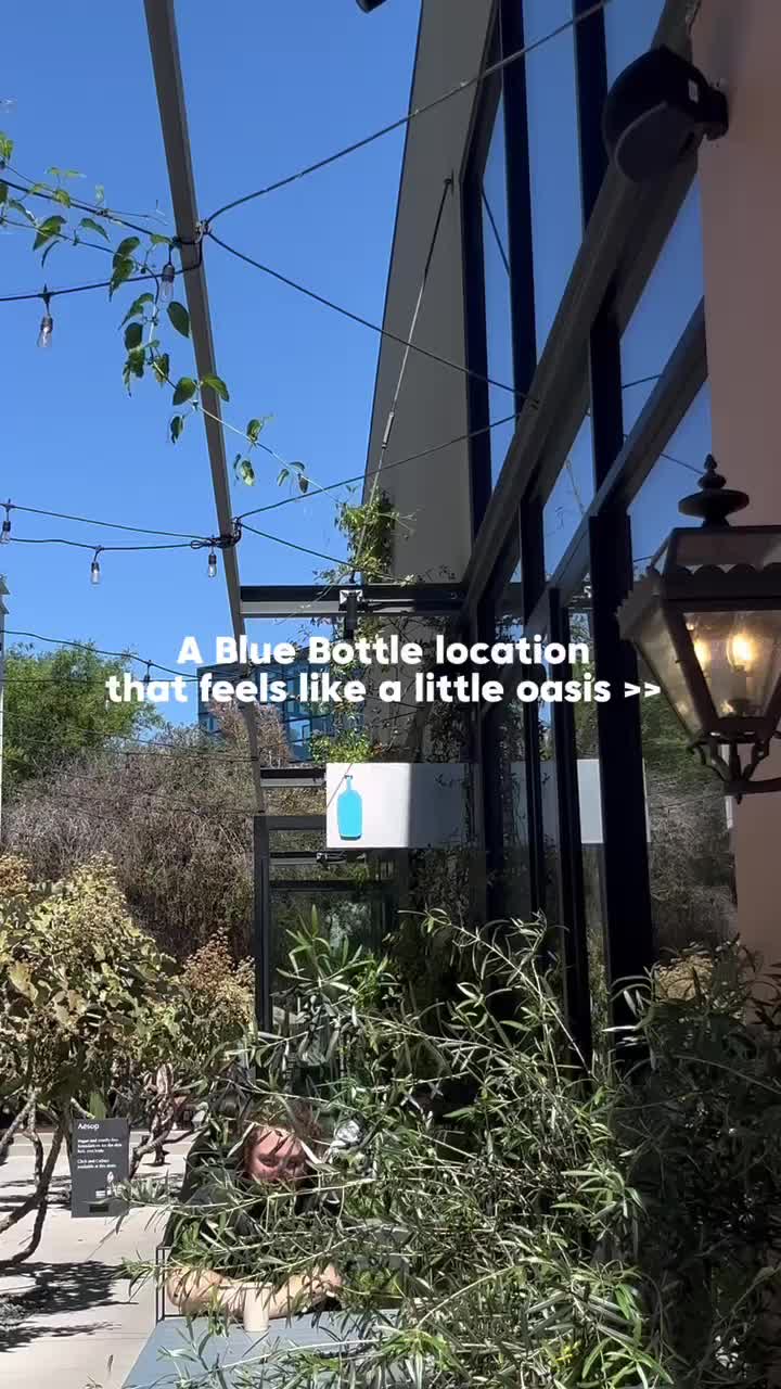 Video review of Blue Bottle Coffee