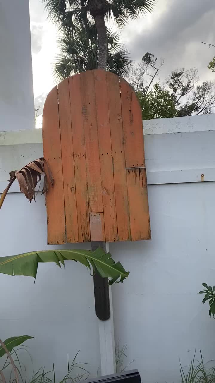 Video review of The Hyppo