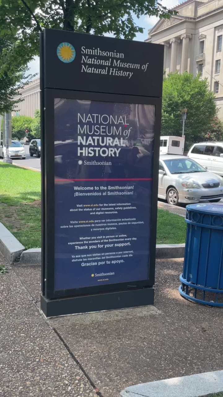 Video review of National Museum of Natural History