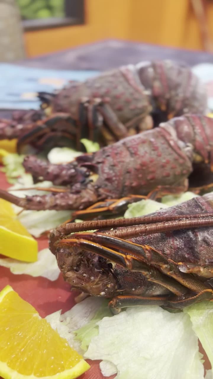 Playa Delfin Restaurant And Bar