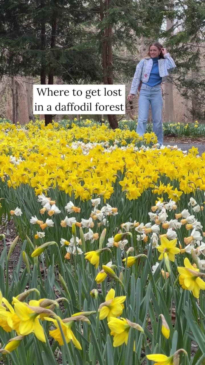 Blithewold Mansion, Gardens & Arboretum