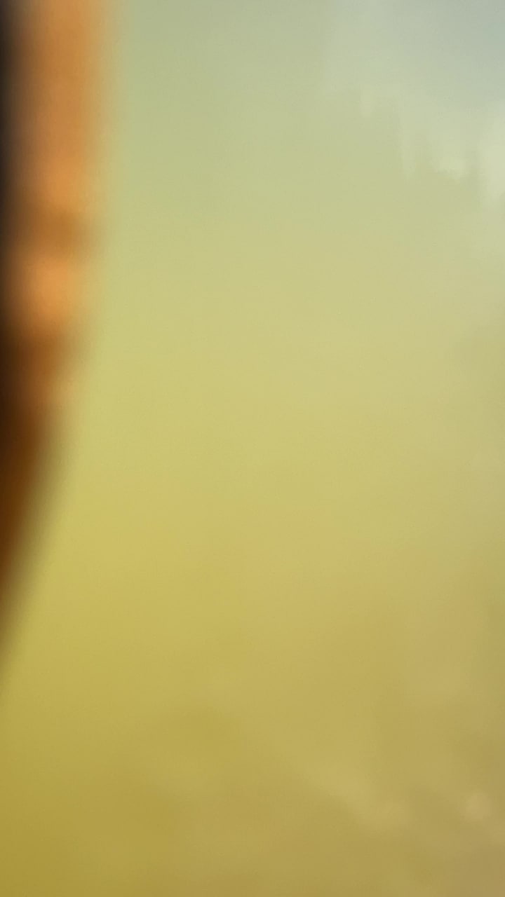 Incline Public House