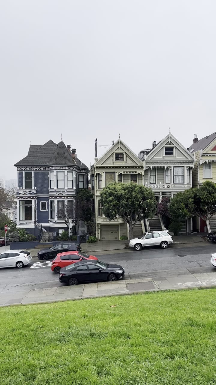 Video review of Painted Ladies