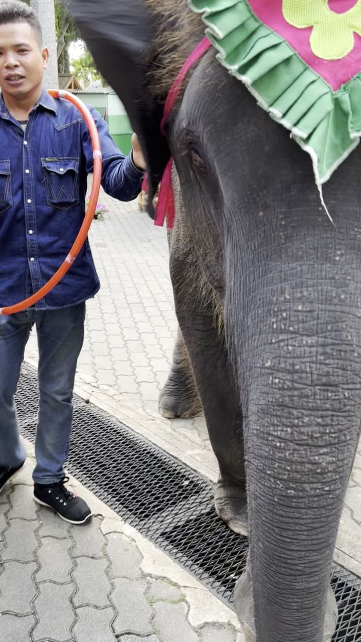 Nong Nooch Botanical Garden