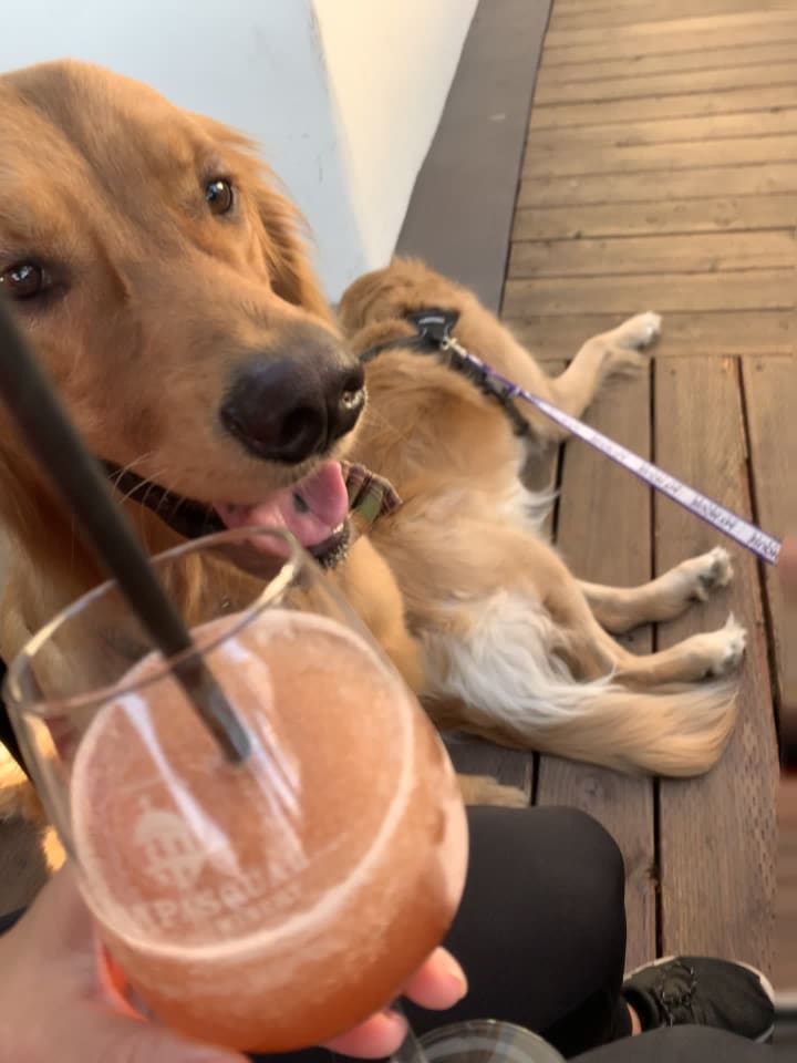 San Pasqual Winery Tasting Room