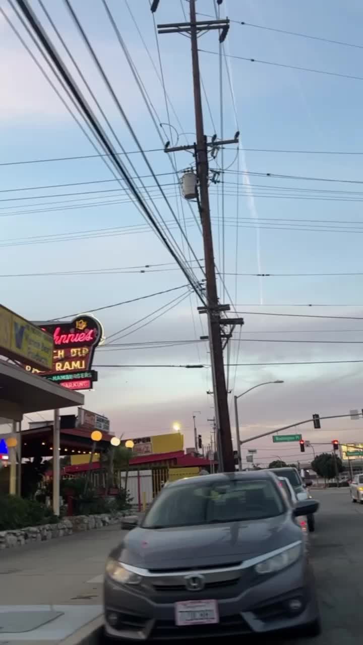 Video review of Johnnie's Pastrami