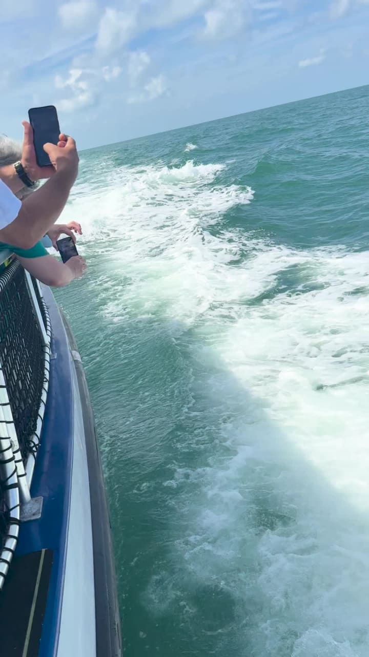 Video review of Backwater's On Sand Key