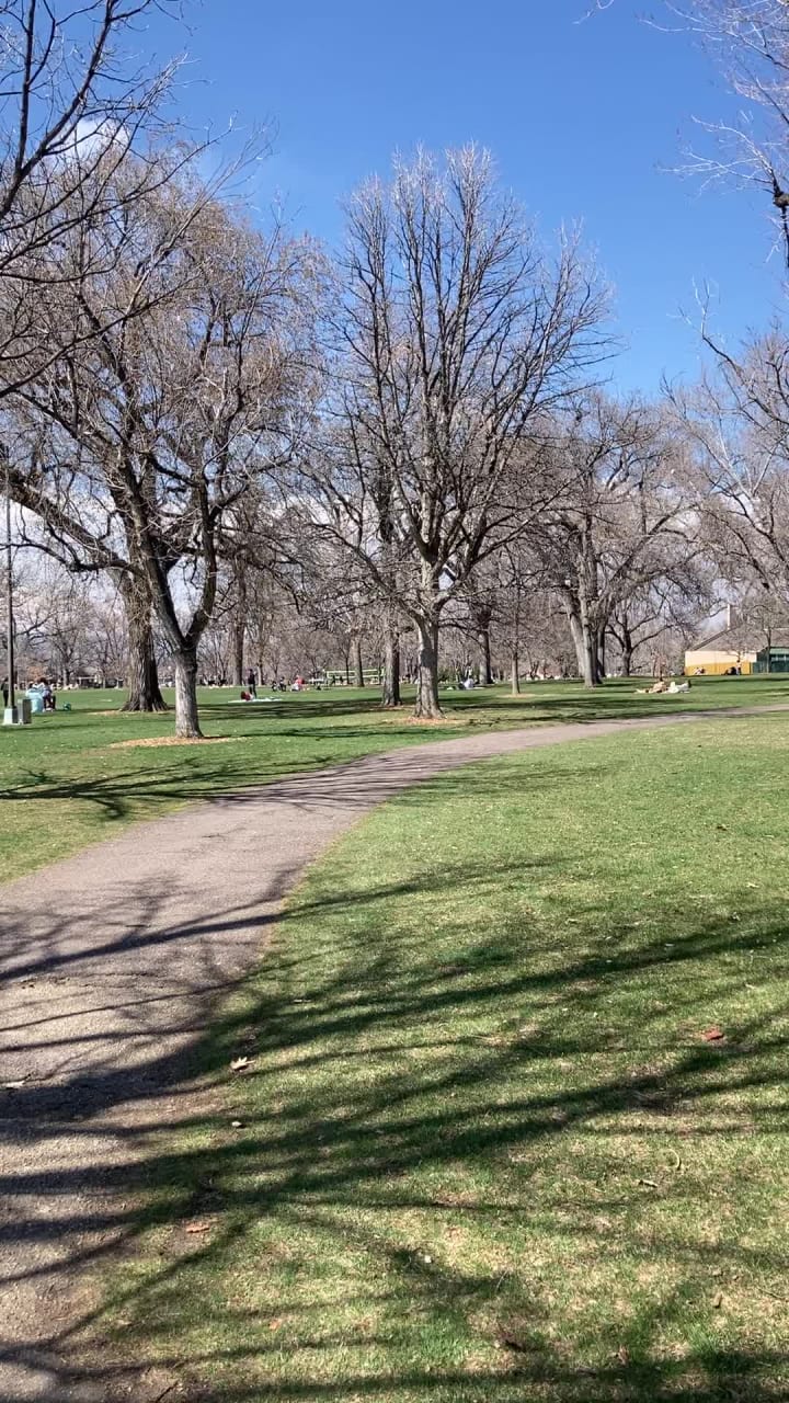 Video review of Washington Park
