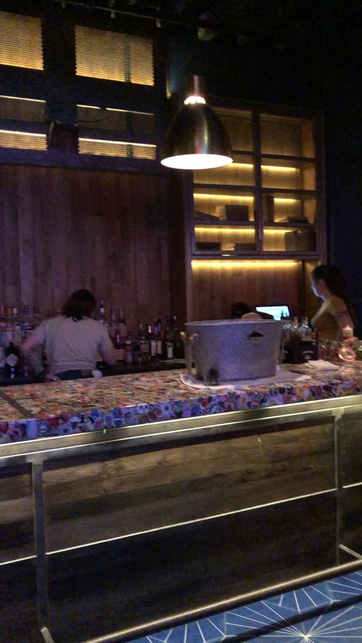 Video review of Standard Rec