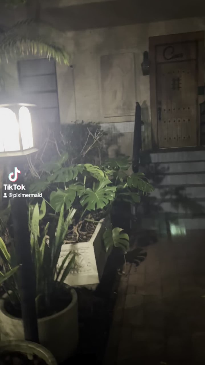 Video review of Ciro's Speakeasy and Supper Club