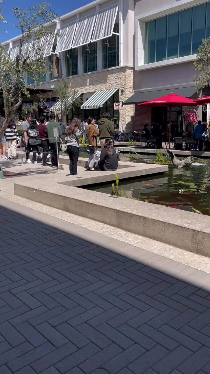 Video review of Ramen Nagi