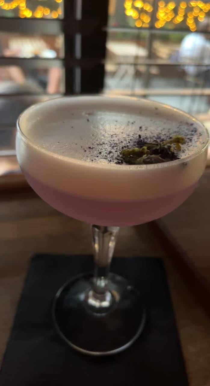 Video review of Analogue