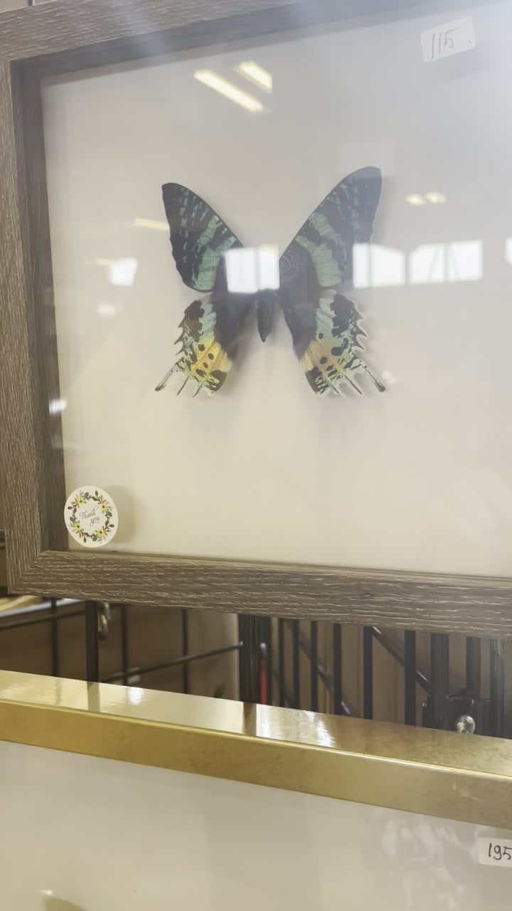 St. Jacobs Farmers' Market