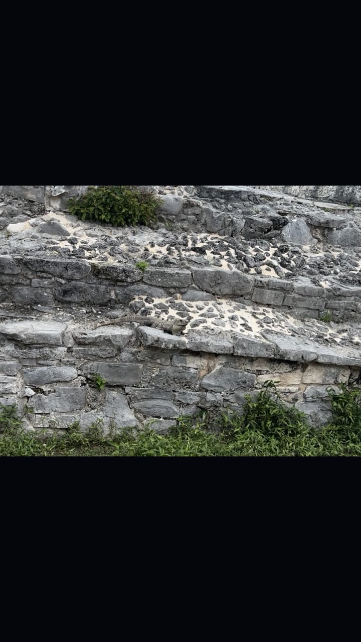 Video review of Tulum Archeological Site (Zona Arqueológica de Tulum)
