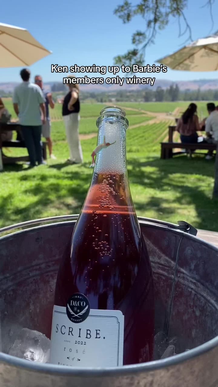 Video review of Scribe Winery