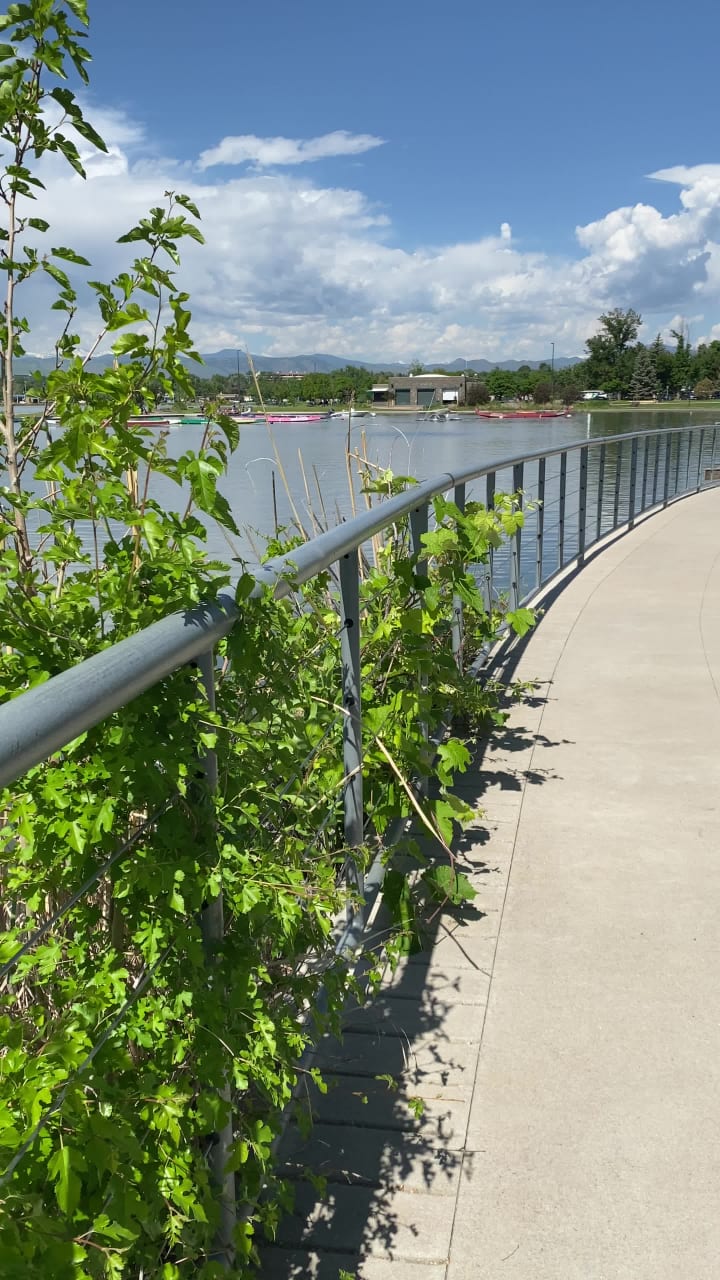 0,19 TOKYO SUNDUBU BAR