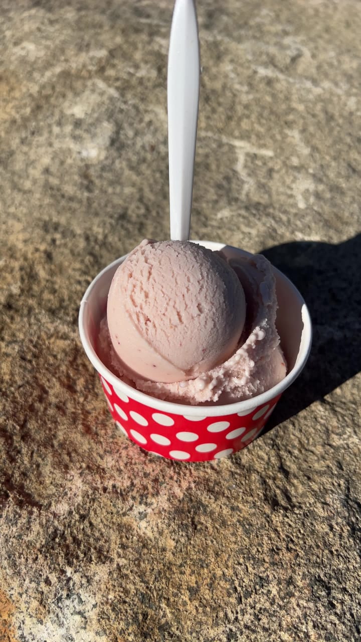 Emma & Otto’s Ice Cream