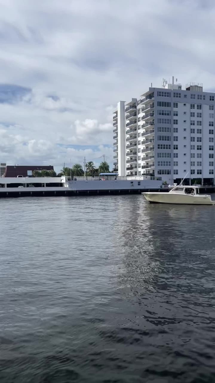 Video review of Blue Moon Fish Co.