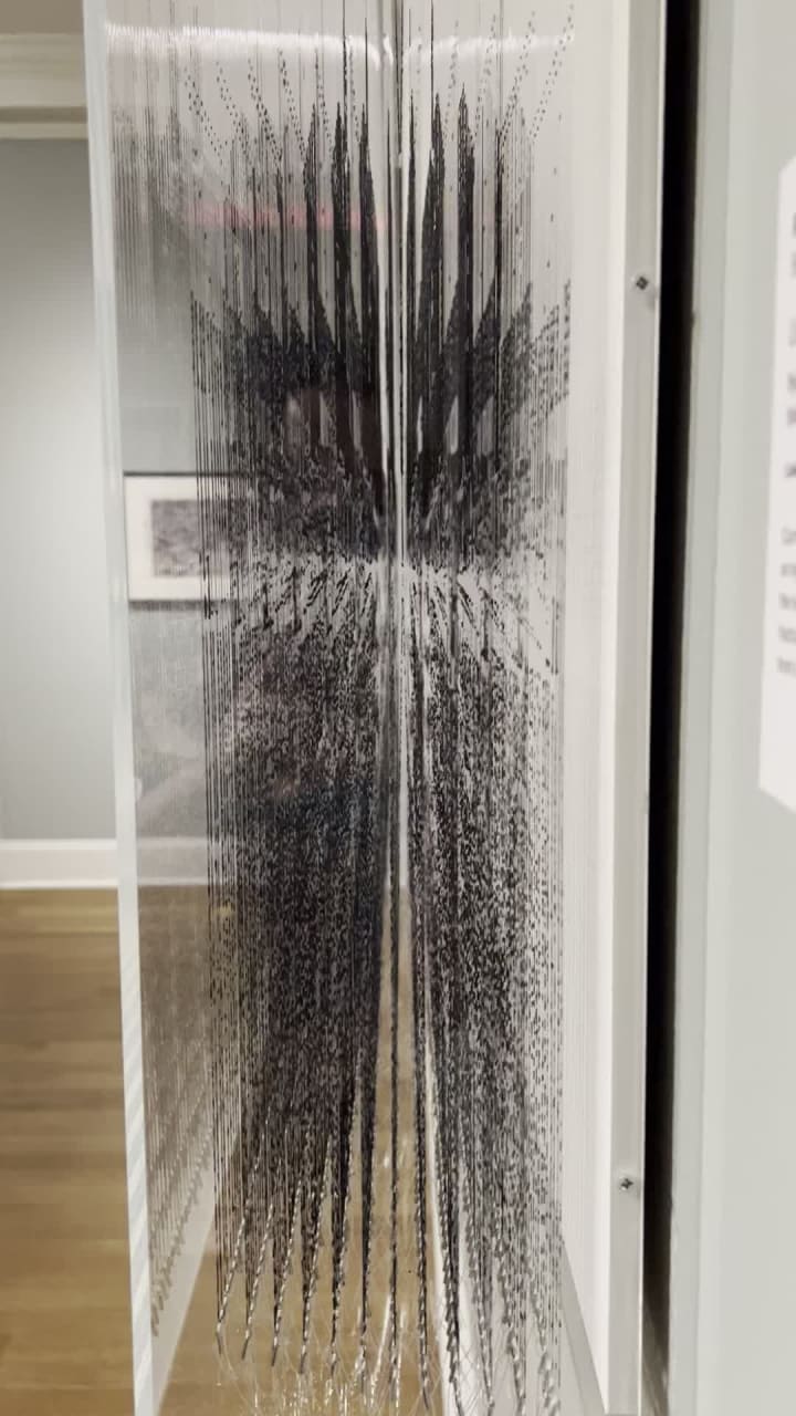 Video review of New Orleans Museum of Art