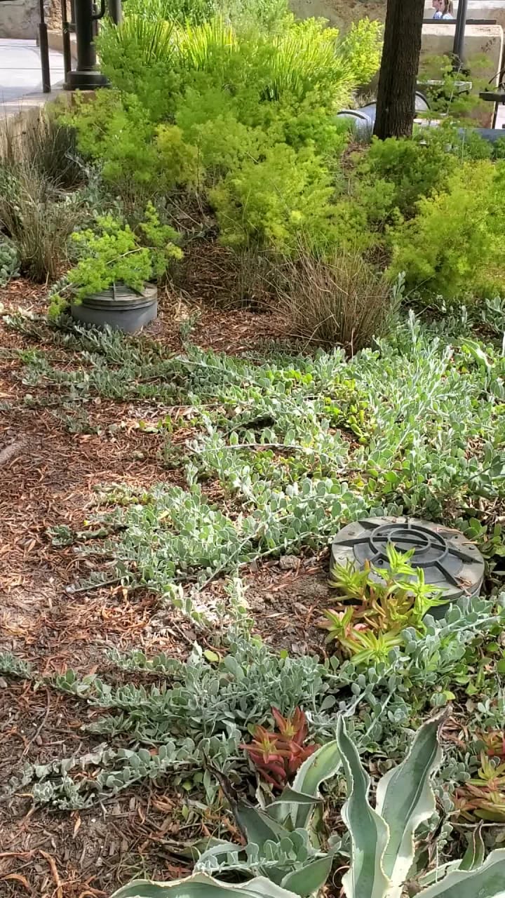 Video review of Docking Bay 7 Food and Cargo