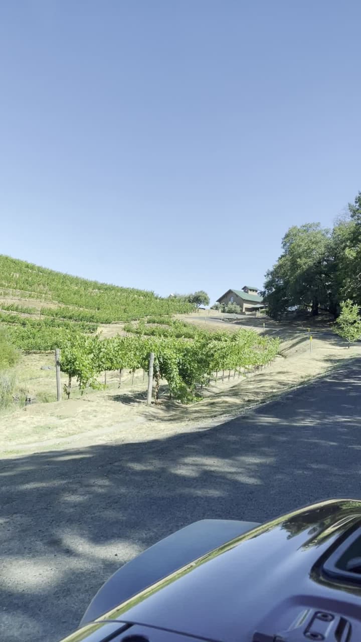 Pride Mountain Vineyard Caves