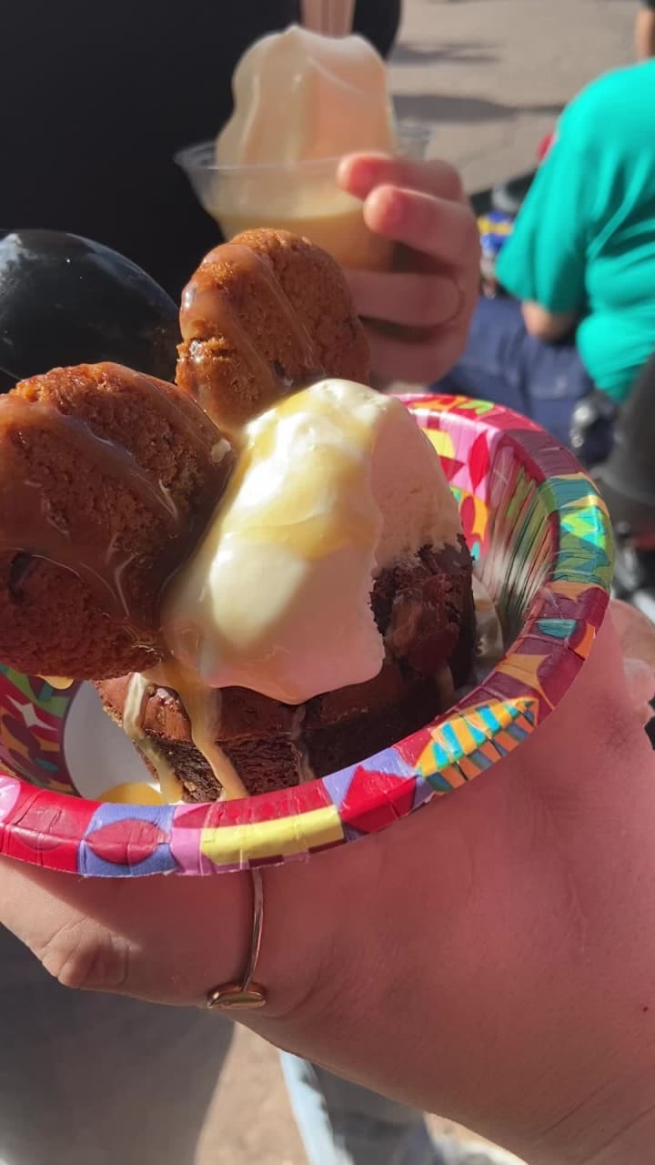 Video review of Disney's Animal Kingdom