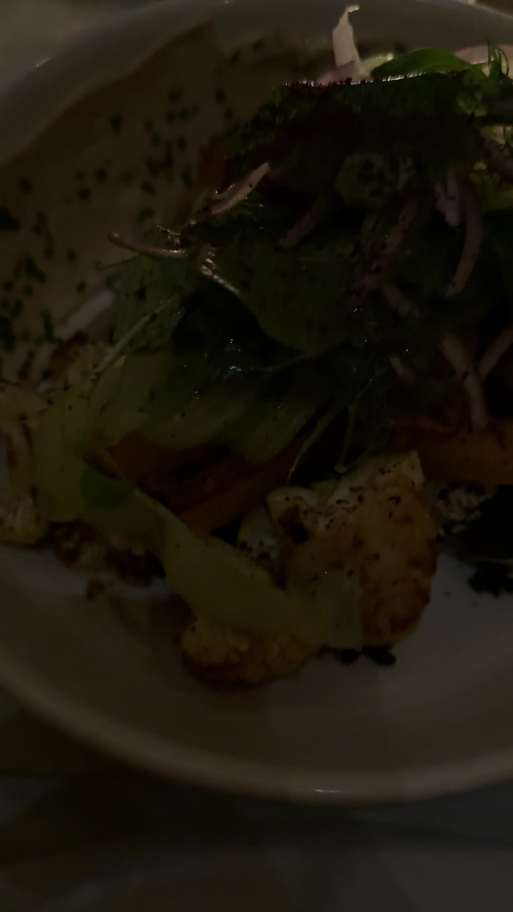 Great White Larchmont