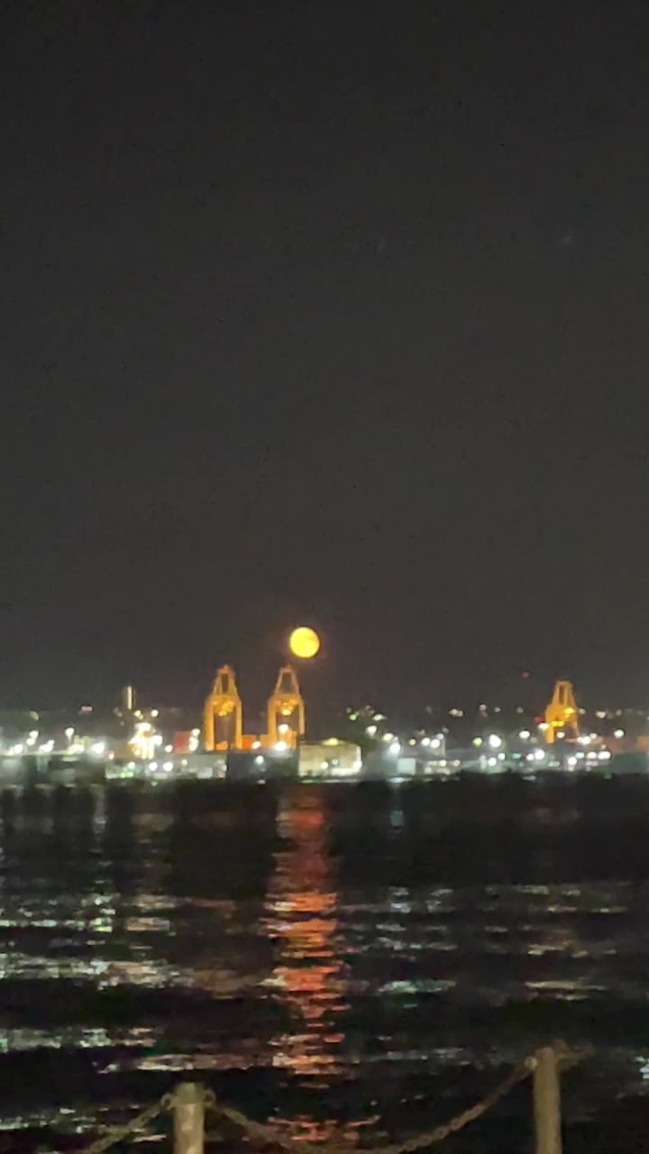 Video review of Hyatt Regency Seattle