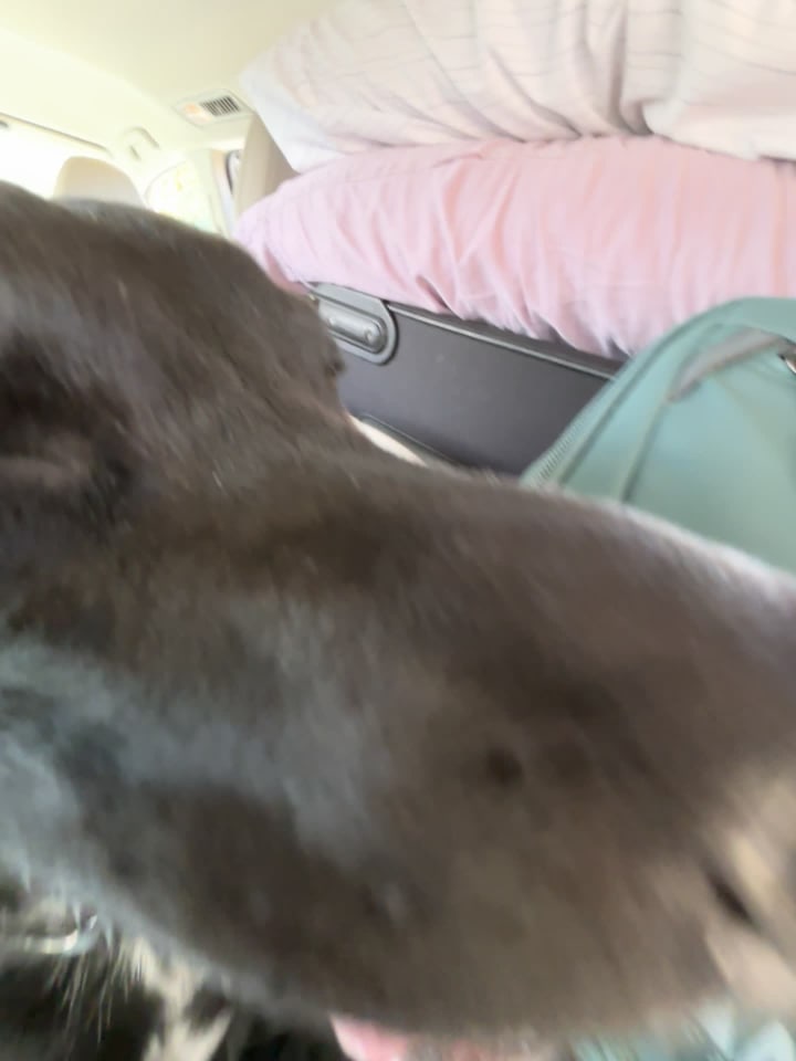 Video review of Garden of the Gods Visitor Center