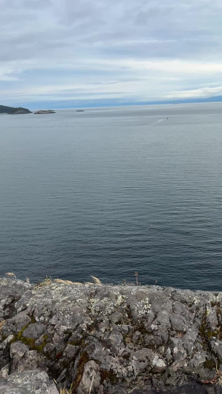 Video review of Route 14