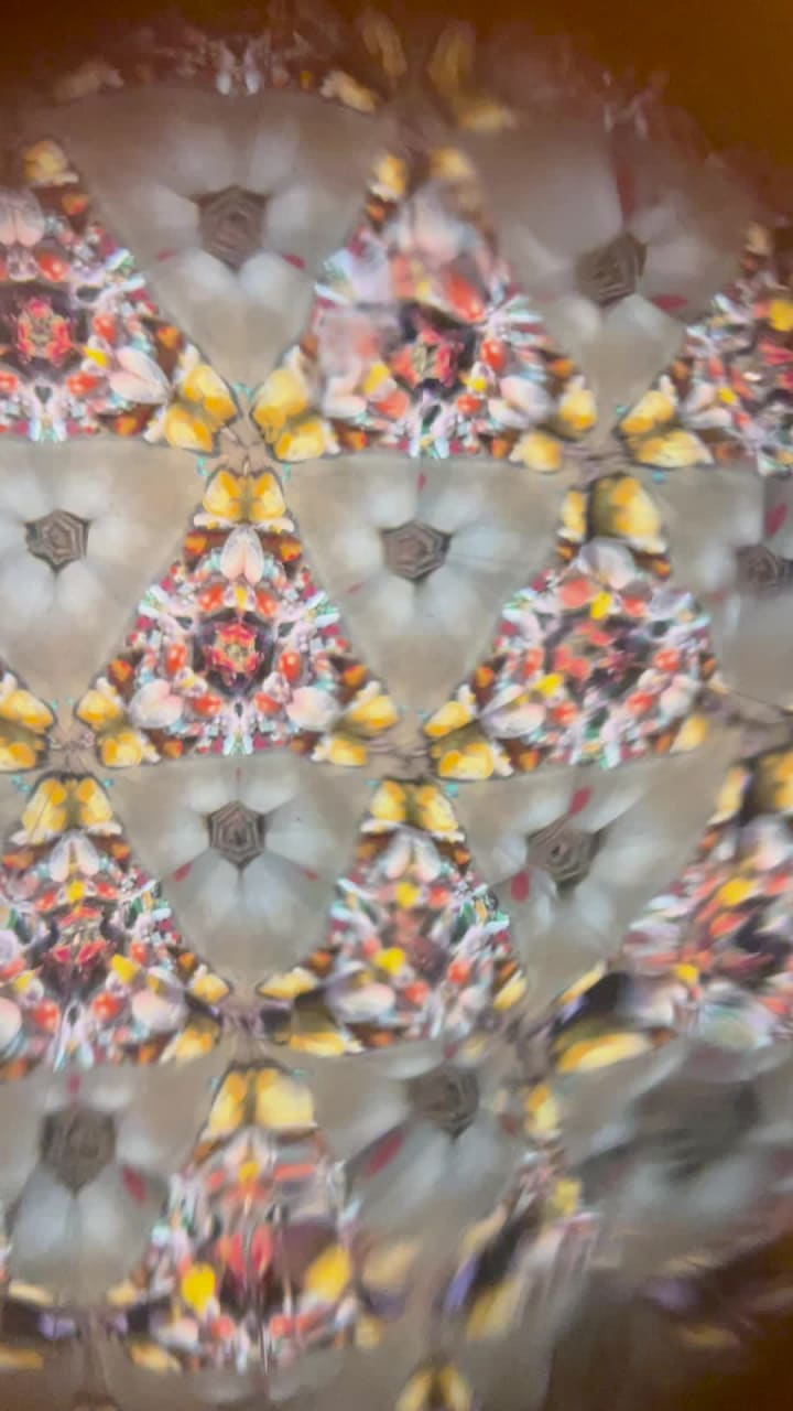 Video review of Lamberts Downtown Barbecue