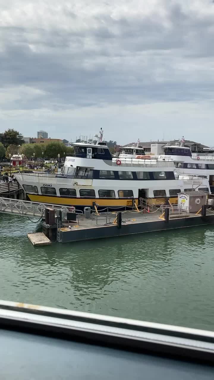 Fog Harbor Fish House