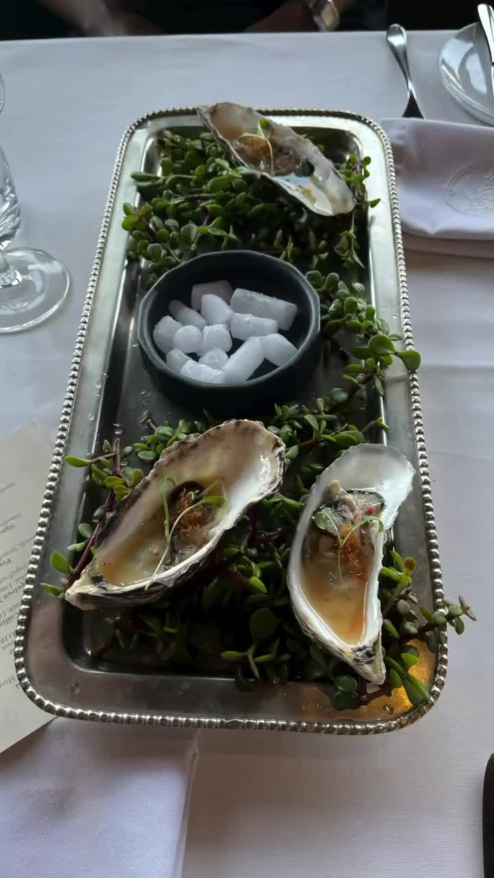 The Shortmarket Club