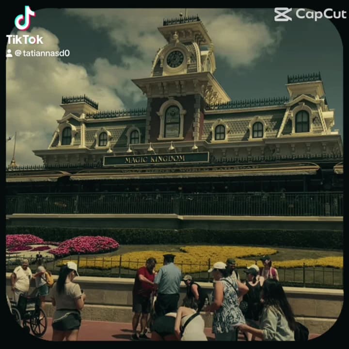 Walt Disney Magic Kingdom, Animal Kingdom & Hollywood Studios