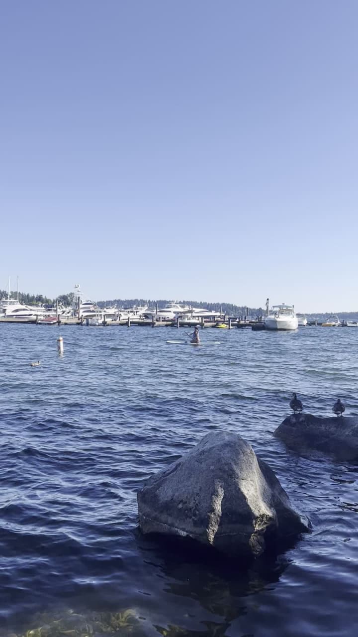 Marina Park Al Locke Pavilion