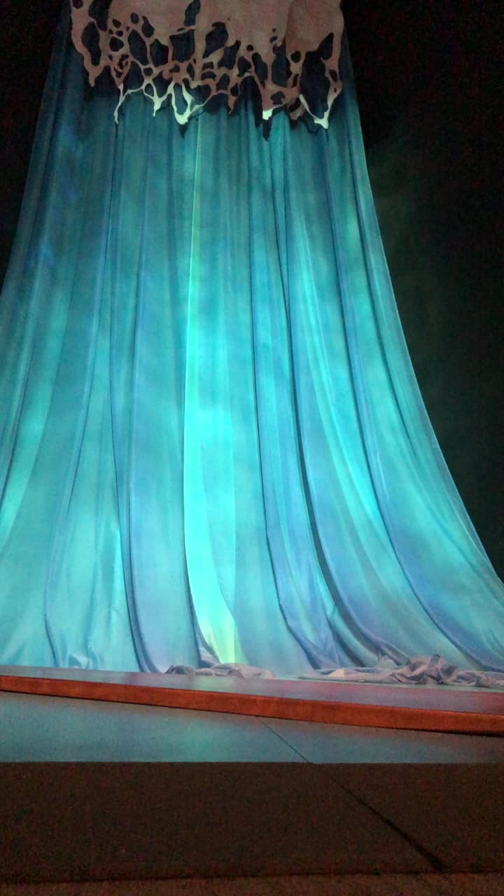 Video review of The Bernice Pauahi Bishop Museum