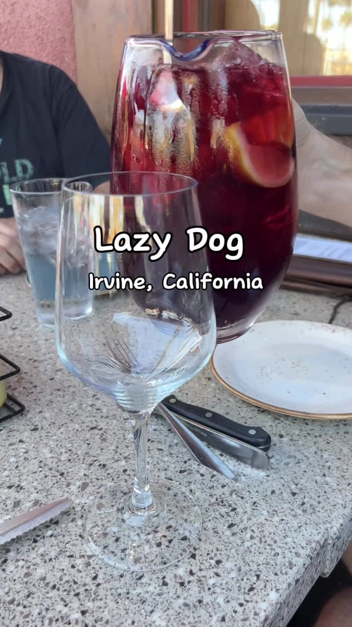Video review of Lazy Dog Restaurant & Bar