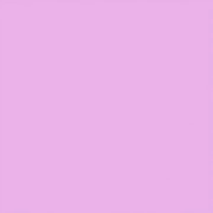 Video review of New City Restaurant 新城市餐廳