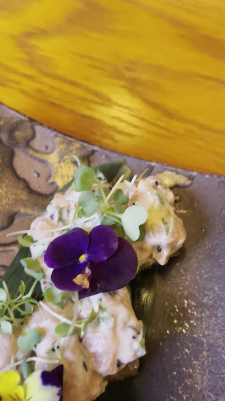 Video review of Ozumo