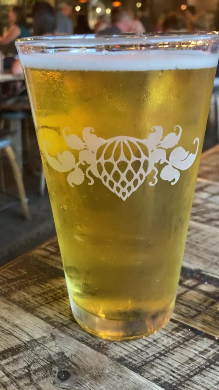 Video review of Wicked Weed Brew Pub