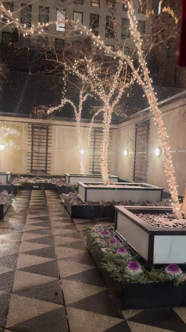 City Moment · New York