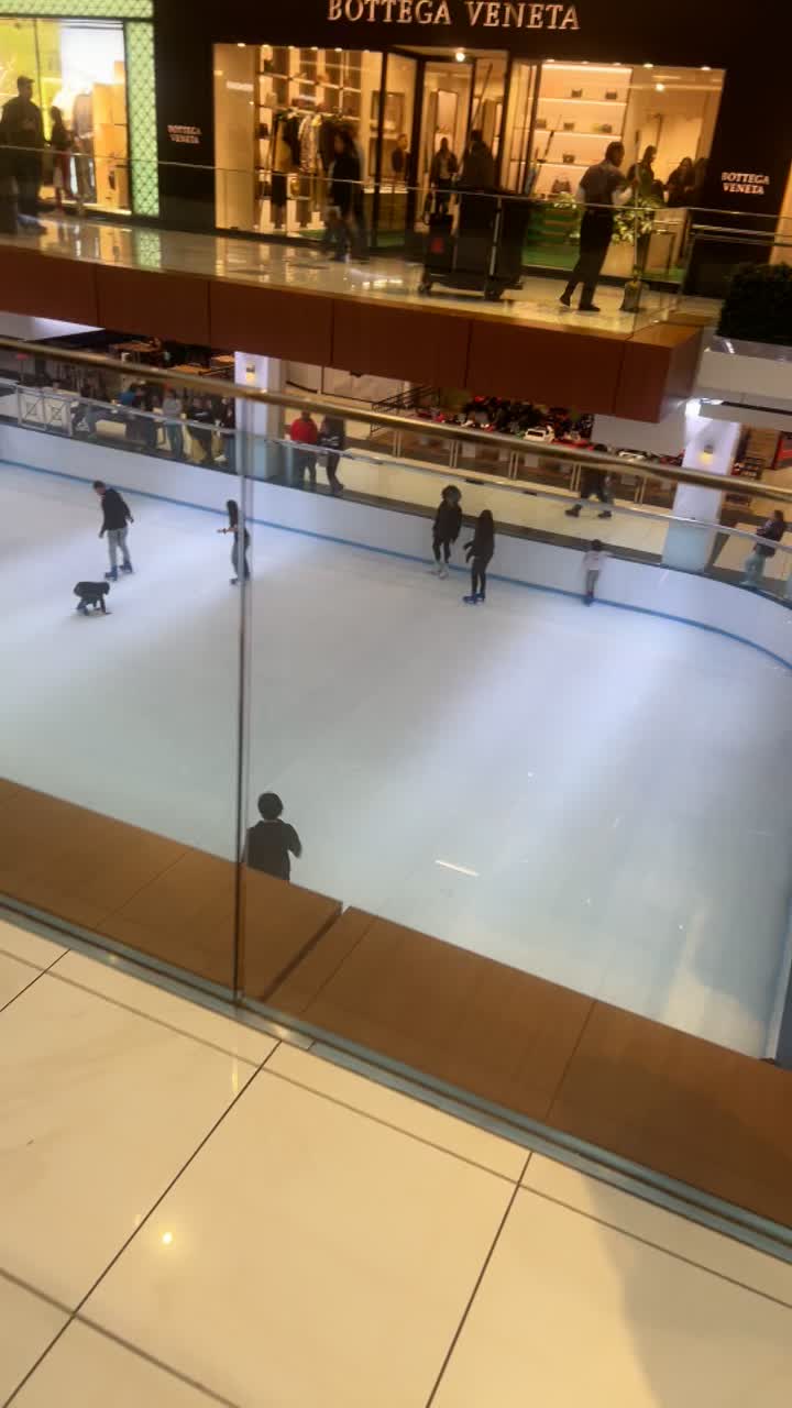 The Galleria Mall
