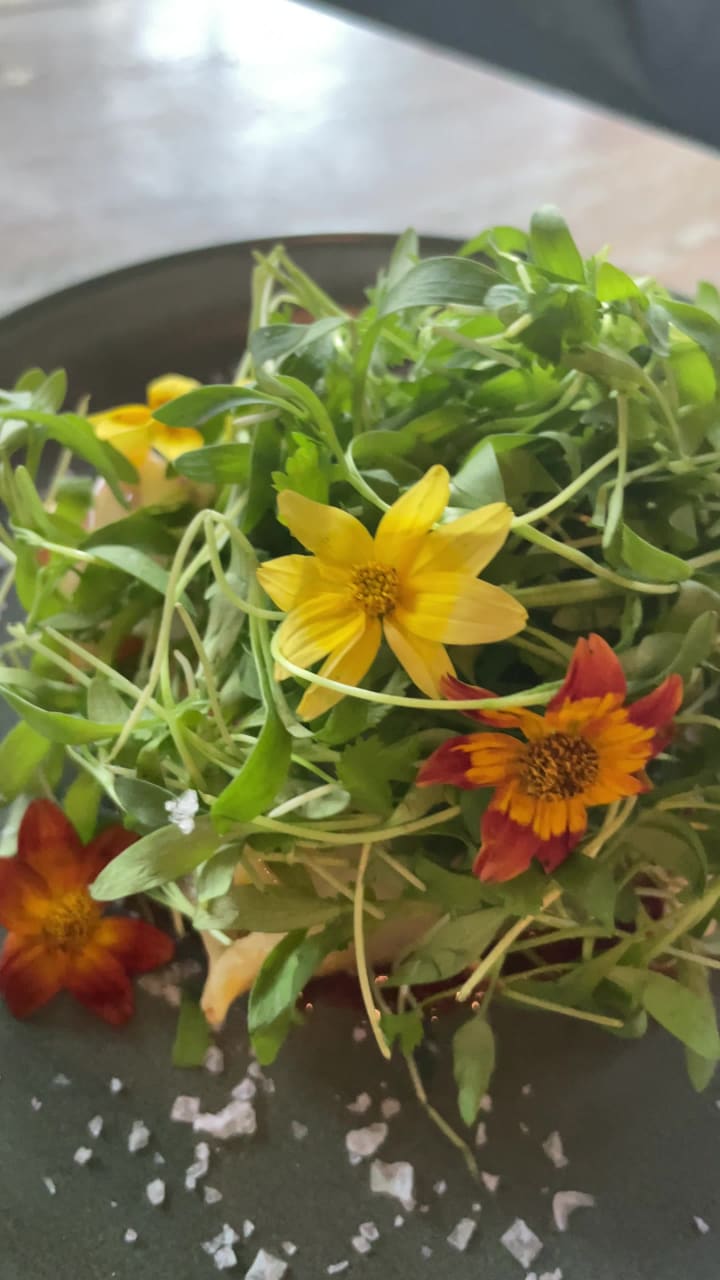 Video review of You & Yours Distilling Co.